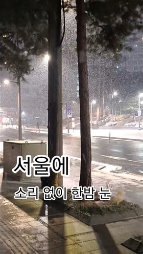 Snow in Seoul (January 23, 2026)