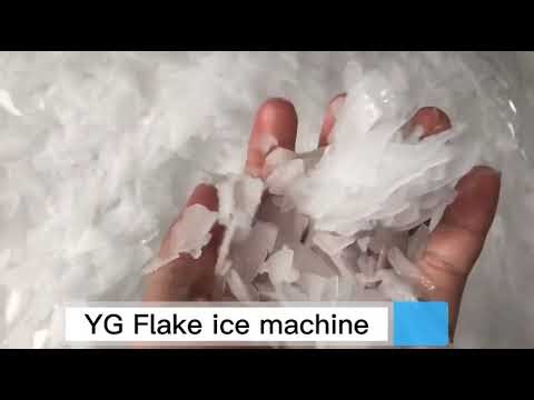 How Does A Flake Ice Making Machine Work?