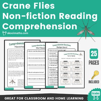 Crane Flies Nonfiction Reading Comprehension Worksheets | Insects Grades 3rd–5th