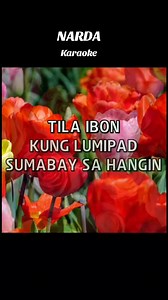 Narda Karaoke song with lyrics Song by Kamikazee #reelsviralシfbreelsviralシfb | Mangyan Patag