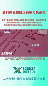 【鑫科生物小课堂】肠产毒性大肠埃希菌的形态与培养特性