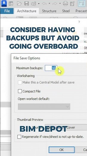 Revit Backup Settings Explained