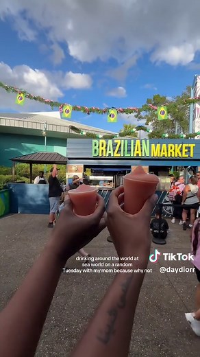 Exploring SeaWorld's Strong Drinks in Mexico