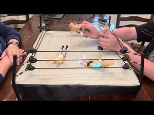 WWE legends royal rumble action figure match ￼￼￼