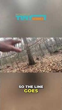 Discovering Vast Property: Potential for Your Dream Home #shorts