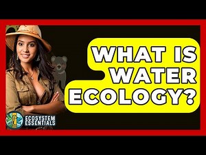 What Is Water Ecology? - Ecosystem Essentials