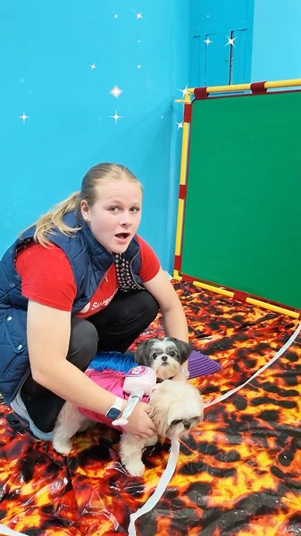 Assistant Plays Paw Patrol Dino World with Dogs Wiggles, Waggles, and Waffles #FamilyFun