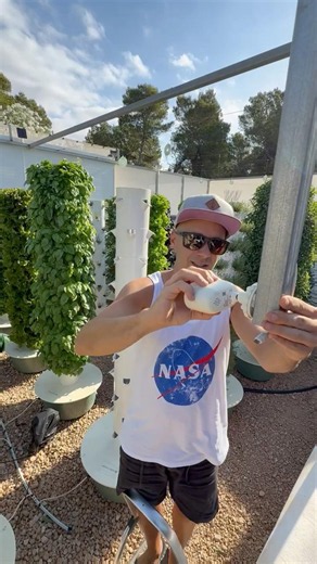 Every aeroponic tower in our farm has its own dedicated time-lapse camera #farming #timelapse
