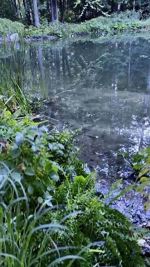 40K views · 790 reactions | The pond works in mysterious ways. Chyler Leigh, Sadie Laflamme-Snow, and Andie MacDowell return with the all new season of The Way Home on Jan 21, streaming the next day on Hallmark Movies Now. | Hallmark Channel | Facebook