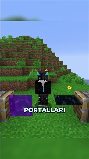 Is it possible to enter two portals simultaneously in Minecraft?