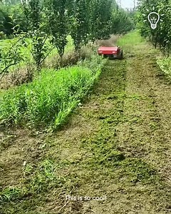 Robot lawn mower! | Lilyon