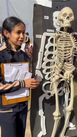 Krishna Vidya Mandir on Instagram: "🦴✨ Learning Comes Alive – Skeleton Model Project ✨🦴 The talented girls of Class 10th from Krishna Vidya Mandir Senior Secondary School created a beautiful and well-designed skeleton model project. 👩‍🎓🎨 Through this project, the students explained the human skeletal system in a very simple and impressive way, making it easy for parents to understand the importance of bones in our body. 🧠📚 Their confidence, clarity of explanation, and creativity truly won