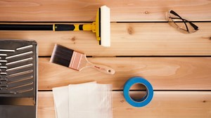 Thompson's WaterSeal Semi-Transparent Wood Sealer, Chestnut Brown, 1 Gallon