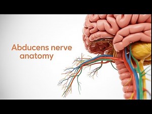 5. Abducens Nerve (CN VI) Anatomy | USMLE Step 1 👁️ Lateral Rectus, Cavernous Sinus, Dorello’s Canal
