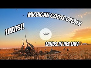 Michigan Goose Hunting | Opening Weekend 2023 LIMITS!!