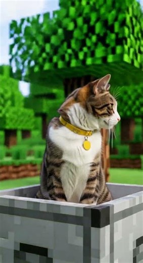 Ranking The Best Minecraft Cats Videos Part 2 Top Feline Moments Unleashed #Minecraft #Cats #Gaming