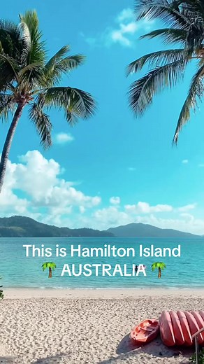 Australian Islands 🌴🐢 how incredibly beautiful… #hamiltonisland #whattodoinhamiltonisland #australianislands #beach #summer #islands #reefviewhotel #fyp