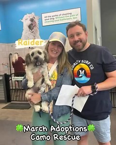 Look at some of our fantastic dogs that have been blessed with new families this Easter season! Thank you to our village that makes these happy tails possible! We have many other wonderful dogs still waiting for their forever homes. Check them out at https://www.camorescue.com/adopt | CAMO Rescue