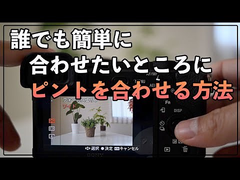 【初心者カメラ講座】ピント合わせが上手くいかない時に見る動画