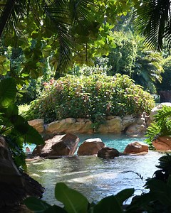 16K views · 591 reactions | Take a break from scrolling and enjoy the serene sounds of Discovery Cove  | Discovery Cove | Facebook