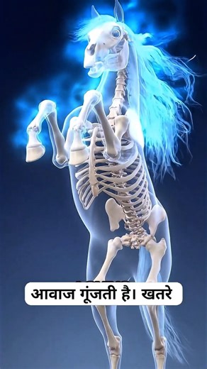 5,000 Bounty… On a Horse and Its Rider! 🐎😱 #shorts