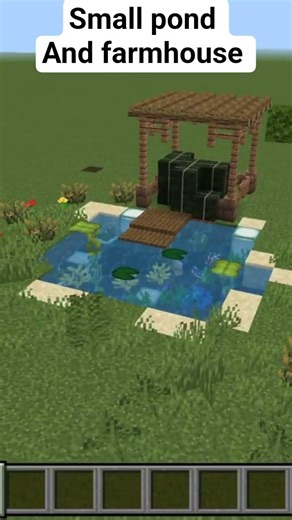 small pond and farmhouse for decoration in Minecraft