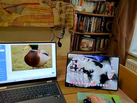 Samsung Copilot+ Laptop vs Traditional Laptops - The Real Test