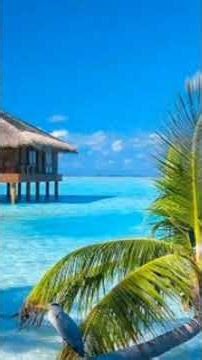 Anxiety Relief: Relaxing Piano Music to Calm Your Mind & De-Stress