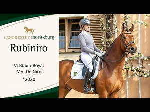 RUBINIRO v. Rubin Royal - De Niro