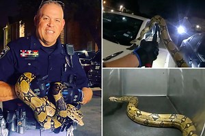 Texas woman finds escaped python blocking her car in parking lot