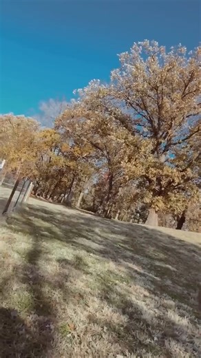 Janine and Gen on Reels