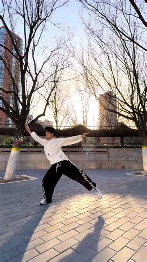 One Glance, One Song: Mastering the Art of Dance Choreography