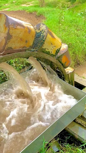 353K views · 3.1K reactions | #virsapunjabda #fbreels #foryoupagereels #reelschallenge #viralchallenge #fb #viral #share | Virsa Punjab Da | Facebook