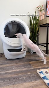1.3M views · 30K reactions | #ad Litter-Robot by Whisker sent us their Litter-Robot 4 and I bet you could guess who was a little skeptical of it at first Link is in my bio to shop and use code LINDSEY307 for an additional $30 OFF the Litter-Robot 4 Starter Bundle! #litterrobot #litterrobotpartner #litterbox #sphynx #hairlesscat | Lindsey Kuzmin | Facebook