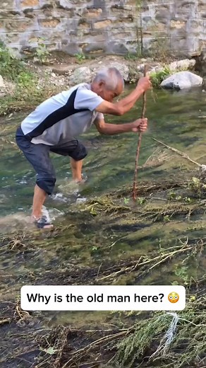 2.7K views · 17 reactions | Old Man Picking Up Gems 800 Crystals Gemstone Jade Rock #CrystalWorld #JadeLovers #HiddenTreasures #MineralMagic #CrystalCollector #GemstoneStories #GemstoneJewelry #RareFinds #GemstoneAddict #JadeCulture #MineralExploration #CrystalsAndGems | Sofia Loren | Facebook