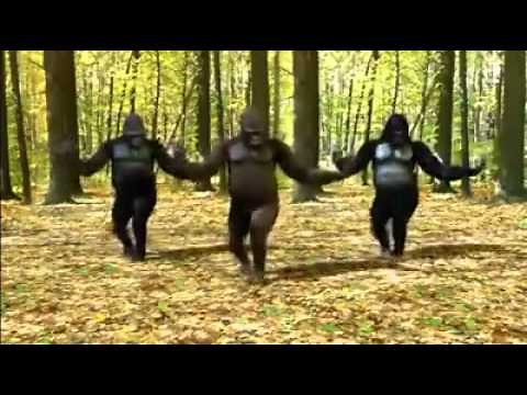 Singe Qui Danse