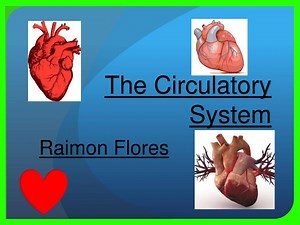 The Circulatory System - SlideServe