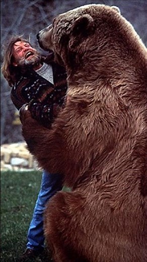 The Most Famous Movie Bear in History