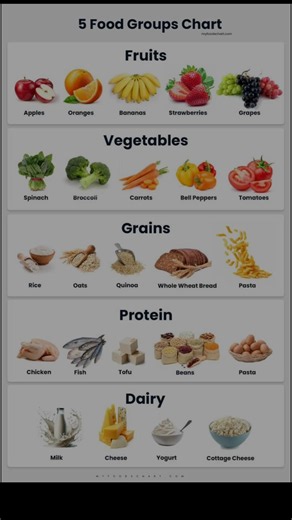 What are the 5 Main Food Groups? | Balanced Diet Guide #viral #shorts #health #youtubeshorts