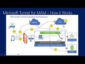 Intune Intune Suite Microsoft Tunnel for MAM
