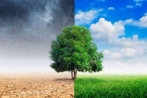 Qué es el clima y sus características | Tipos de clima |