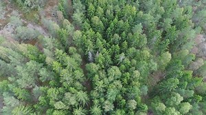 Free Autumn Videos: 4K & HD | No Watermark | Download Now