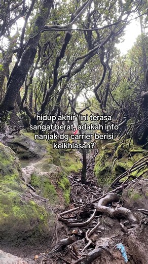 Info mendaki: tips nanjak pakai carrier berat dan kata-kata pendakian