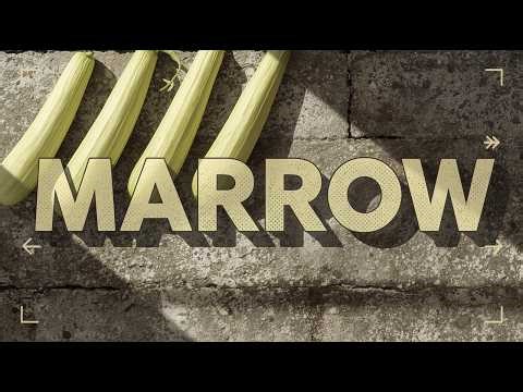 MARROW Explained: The Forgotten Summer Squash That Feeds Cultures, Health, and History