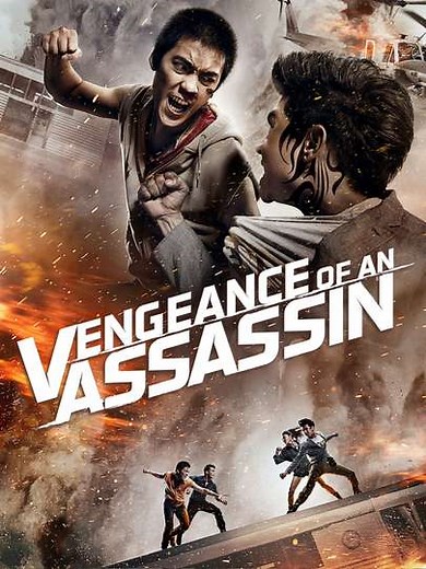 Vengeance of an Assassin - Movie