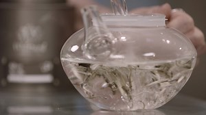 19K views · 66 reactions | Have you ever tried white tea (and we're...