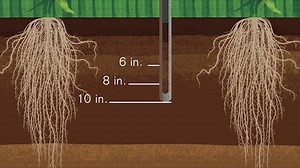 TEST YOUR KNOWLEDGE IN OUR DAILY #SoilAptitudeTests 2.0 FOR YOUR CHANCE TO WIN: True or False: Soil testing is agronomically sound, economically efficient and environmentally responsible. (Visit http://www.cropnutrition.com/best-management-practices-soil-testing for a clue.) | Crop Nutrition