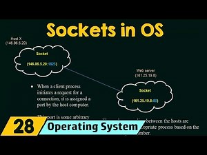 Mind Luster - Learn Sockets in Operating System