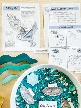 Snowy Owl Unit Study & Owl Pellet Dissection