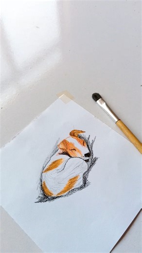 Colour Pencil Dog 🐶 Drawing #youtubeshorts #shorts